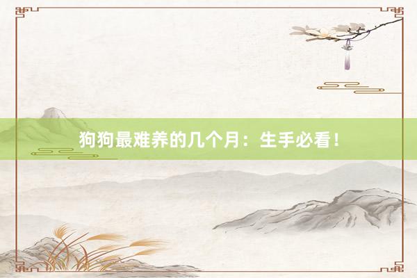 狗狗最难养的几个月:生手必看!
