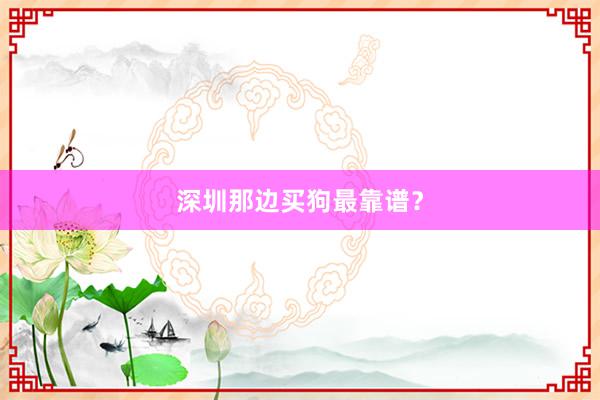 深圳那边买狗最靠谱？