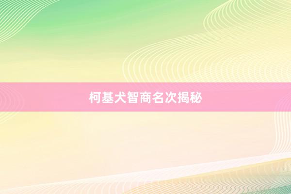 柯基犬智商名次揭秘